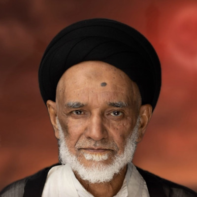 السيد علوي الشهركاني