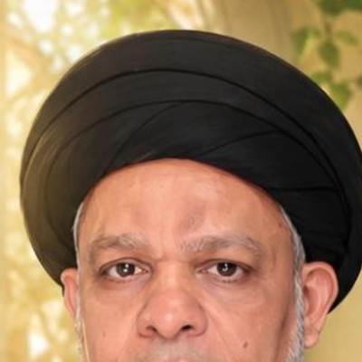 السيد ميثم المحافظة